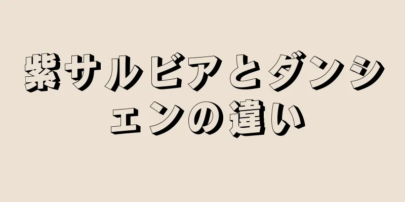 紫サルビアとダンシェンの違い