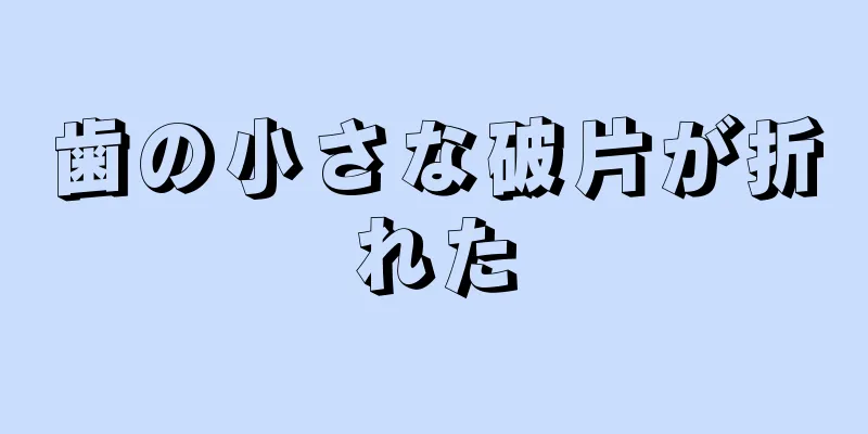 歯の小さな破片が折れた