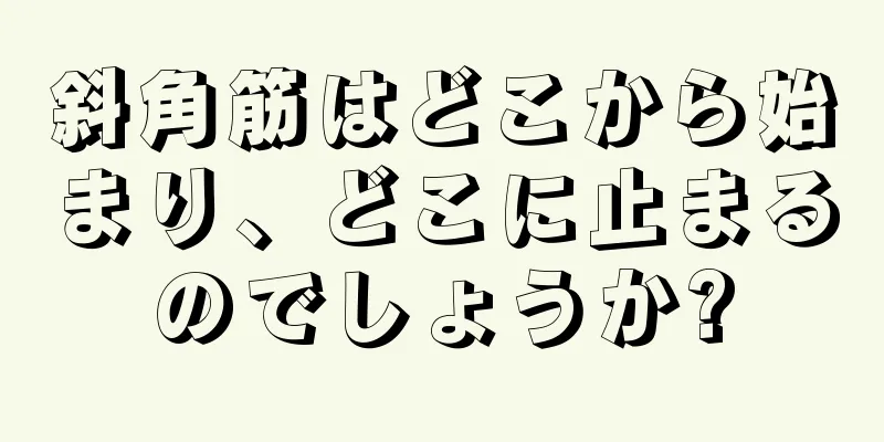 斜角筋はどこから始まり、どこに止まるのでしょうか?