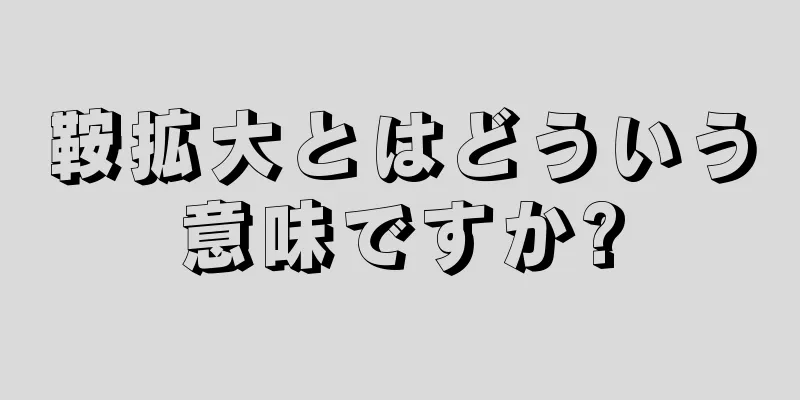 鞍拡大とはどういう意味ですか?