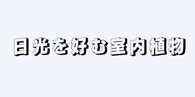 日光を好む室内植物