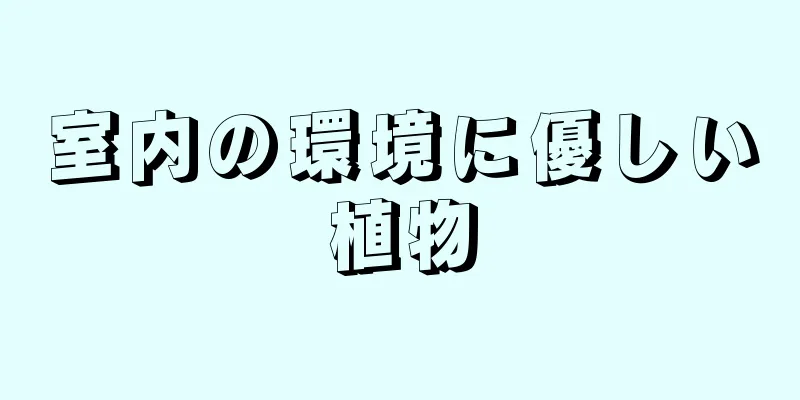 室内の環境に優しい植物