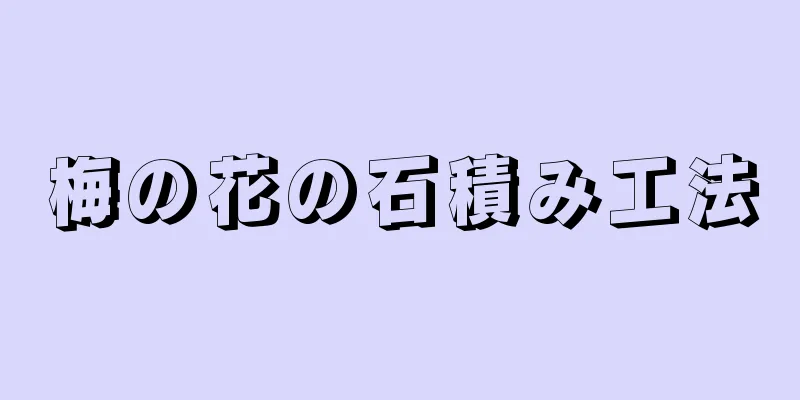 梅の花の石積み工法