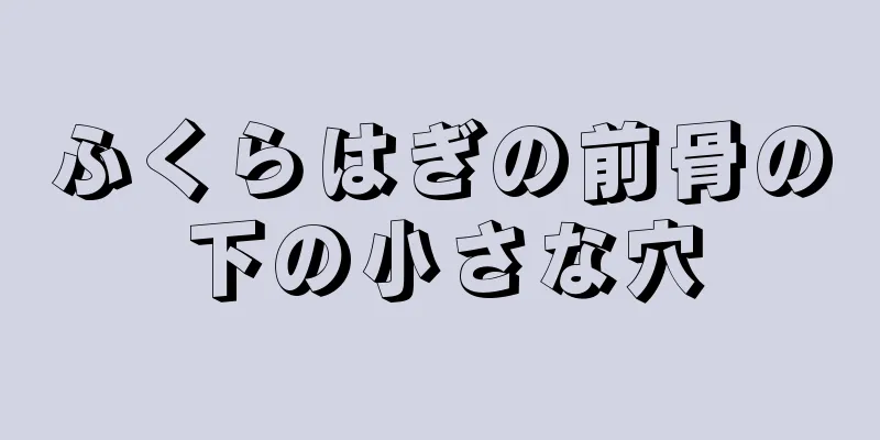 ふくらはぎの前骨の下の小さな穴