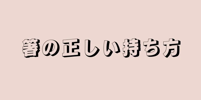 箸の正しい持ち方