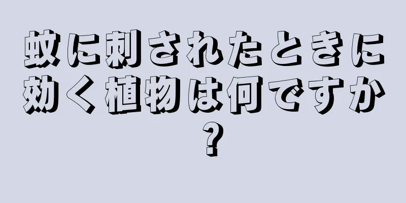 蚊に刺されたときに効く植物は何ですか？