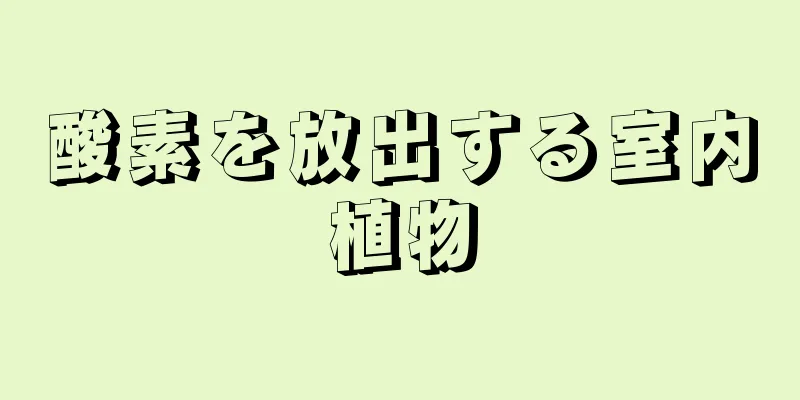 酸素を放出する室内植物