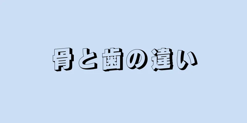 骨と歯の違い