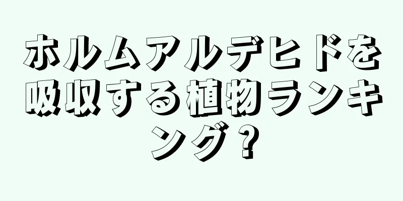 ホルムアルデヒドを吸収する植物ランキング？