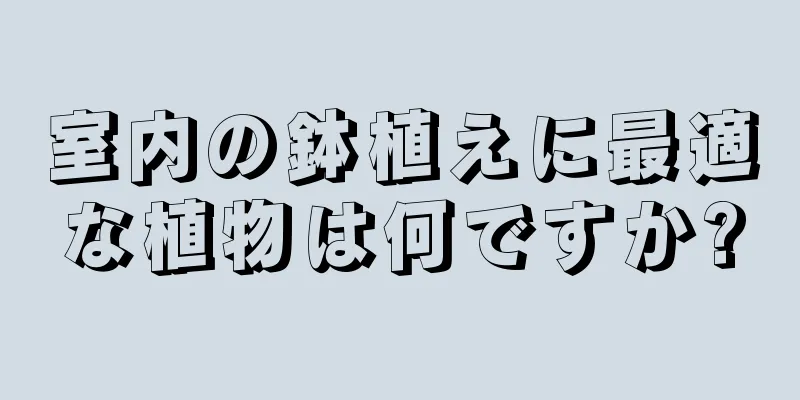 室内の鉢植えに最適な植物は何ですか?