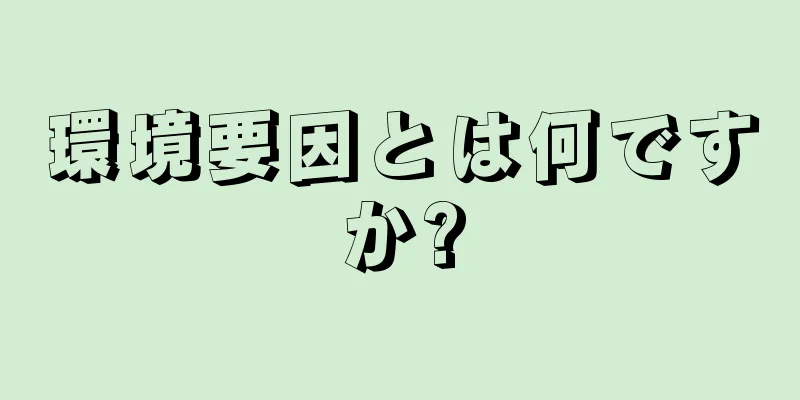 環境要因とは何ですか?