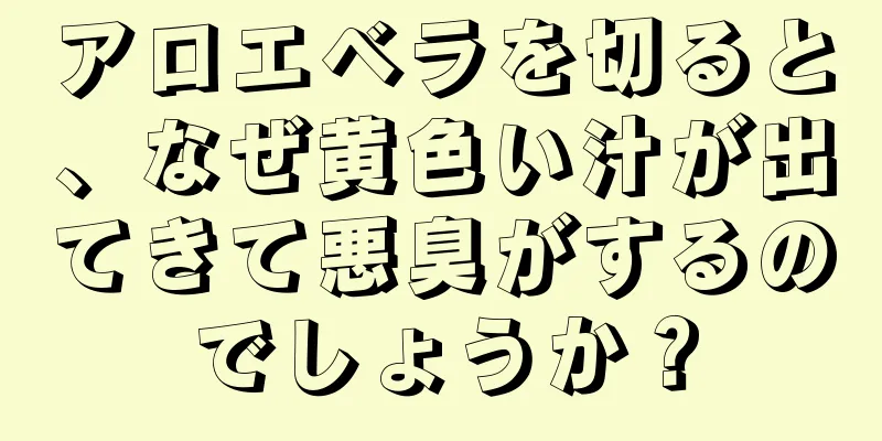 アロエベラを切ると、なぜ黄色い汁が出てきて悪臭がするのでしょうか？