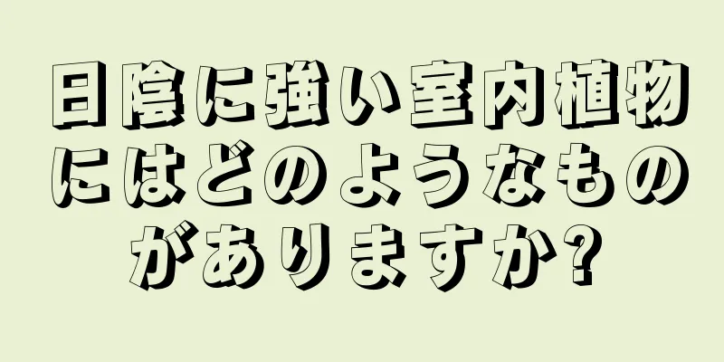 日陰に強い室内植物にはどのようなものがありますか?