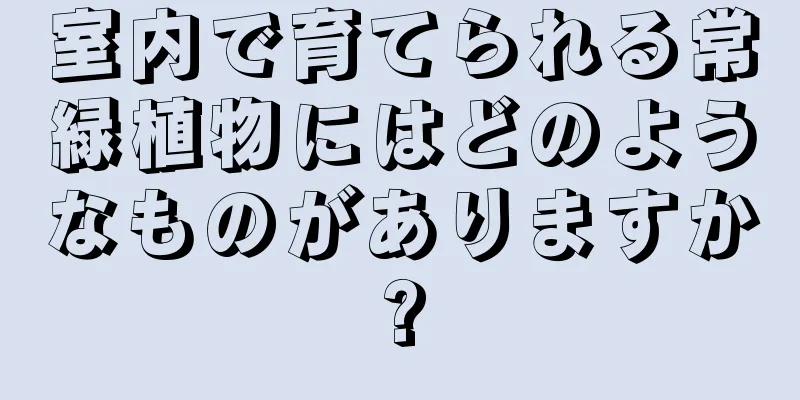 室内で育てられる常緑植物にはどのようなものがありますか?