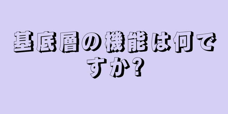 基底層の機能は何ですか?