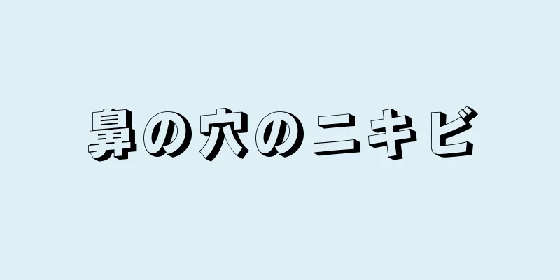 鼻の穴のニキビ