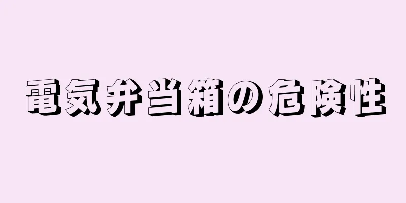 電気弁当箱の危険性