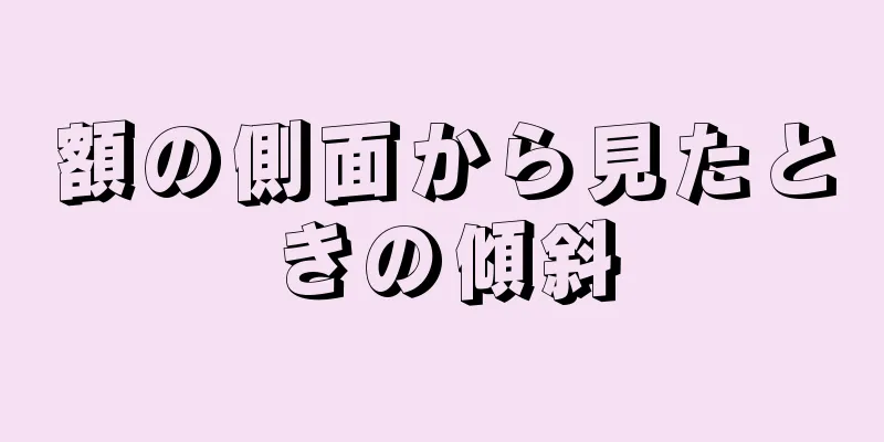 額の側面から見たときの傾斜