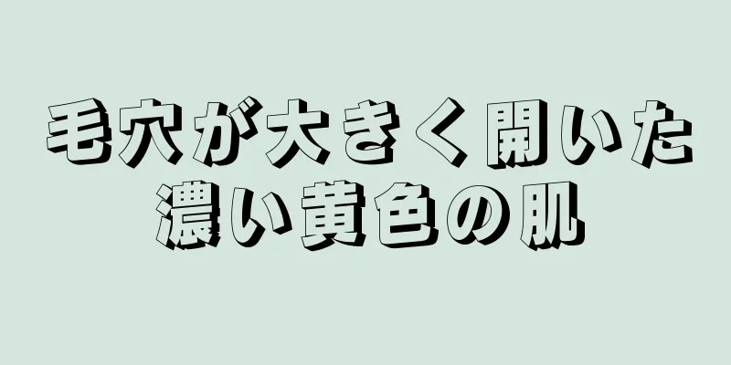 毛穴が大きく開いた濃い黄色の肌