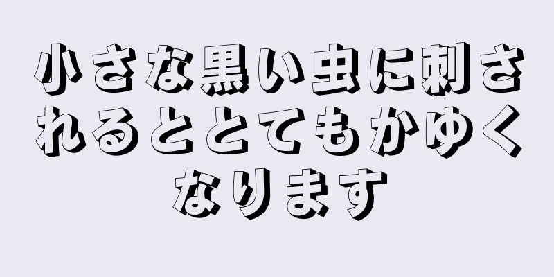 小さな黒い虫に刺されるととてもかゆくなります