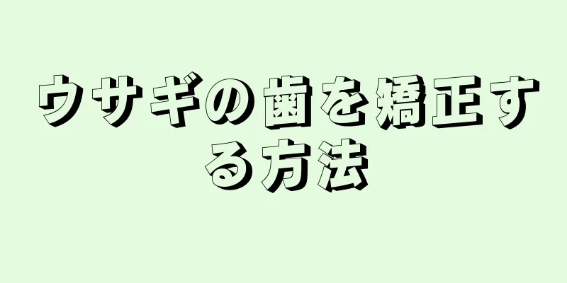 ウサギの歯を矯正する方法