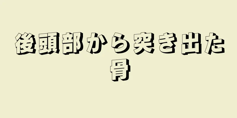 後頭部から突き出た骨