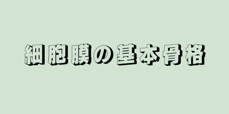 細胞膜の基本骨格