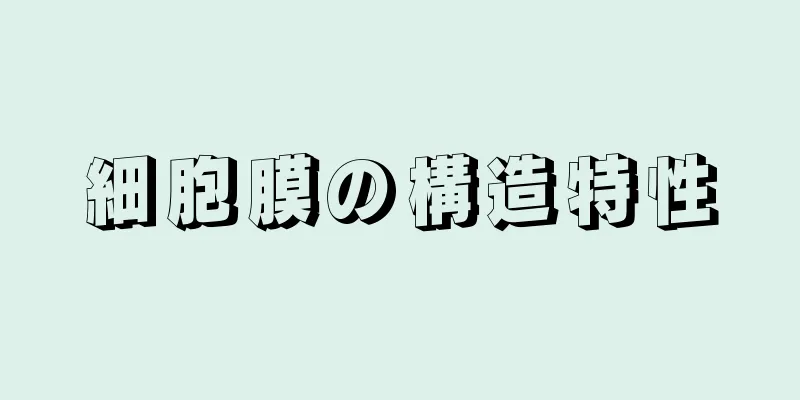 細胞膜の構造特性