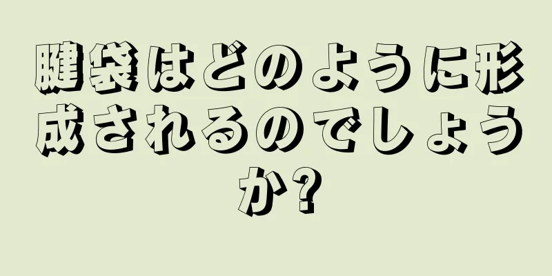 腱袋はどのように形成されるのでしょうか?