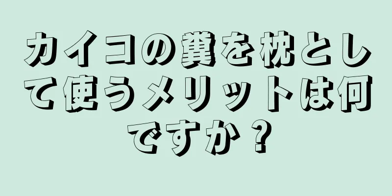 カイコの糞を枕として使うメリットは何ですか？