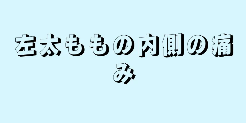 左太ももの内側の痛み