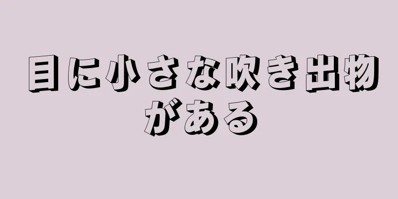 目に小さな吹き出物がある