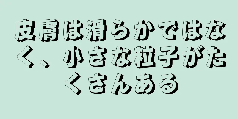 皮膚は滑らかではなく、小さな粒子がたくさんある