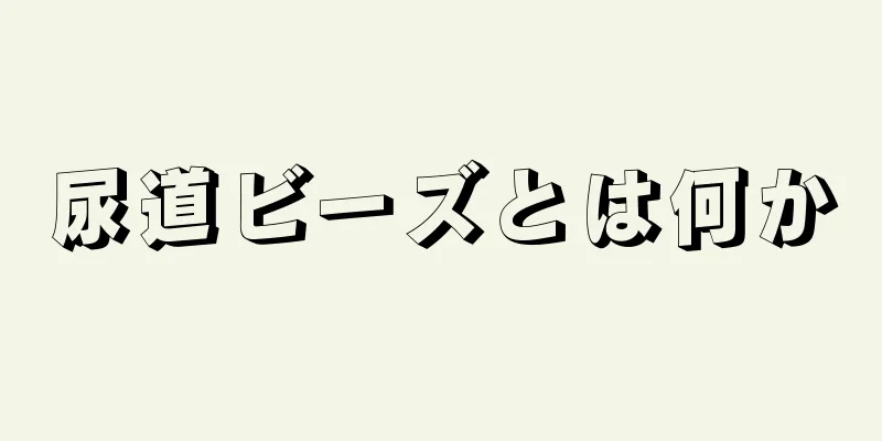 尿道ビーズとは何か