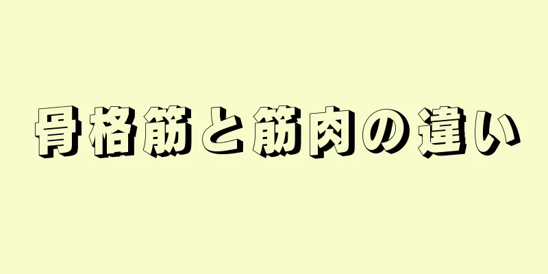 骨格筋と筋肉の違い