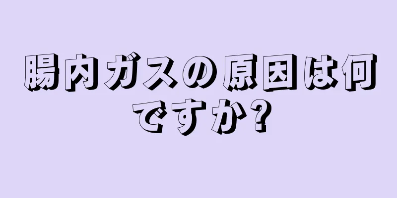 腸内ガスの原因は何ですか?