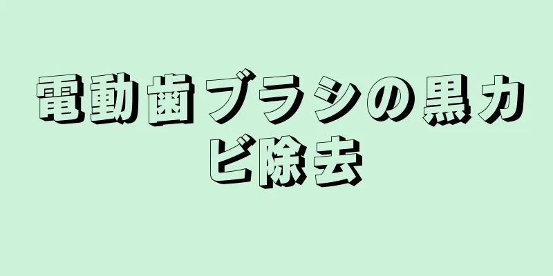 電動歯ブラシの黒カビ除去