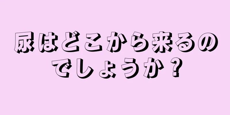 尿はどこから来るのでしょうか？