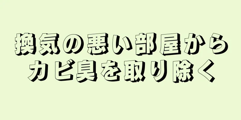 換気の悪い部屋からカビ臭を取り除く