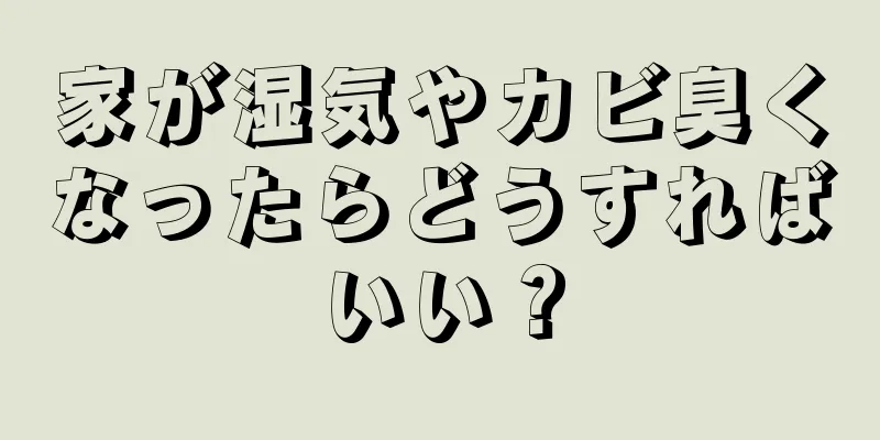 家が湿気やカビ臭くなったらどうすればいい？