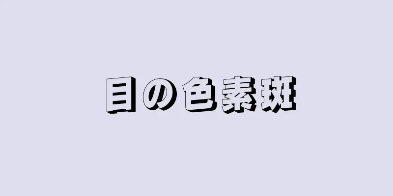 目の色素斑