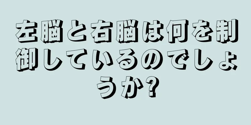 左脳と右脳は何を制御しているのでしょうか?