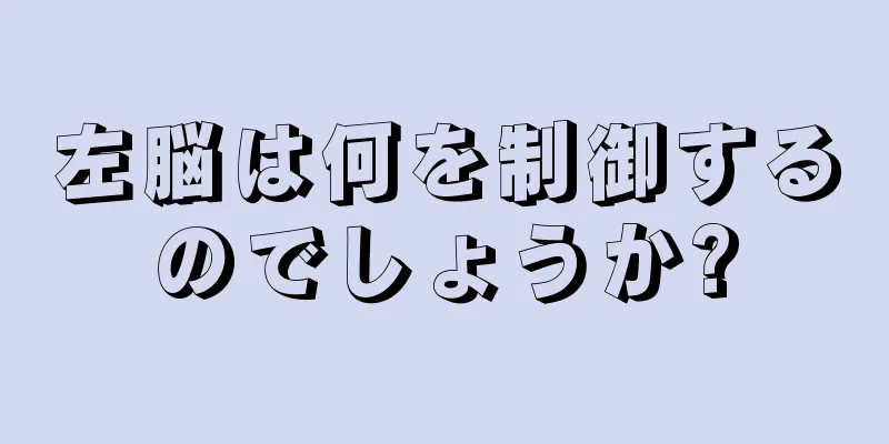 左脳は何を制御するのでしょうか?