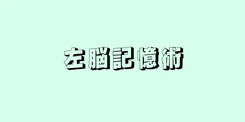 左脳記憶術