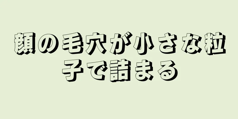 顔の毛穴が小さな粒子で詰まる