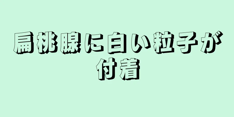 扁桃腺に白い粒子が付着