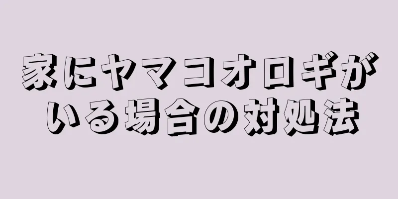 家にヤマコオロギがいる場合の対処法