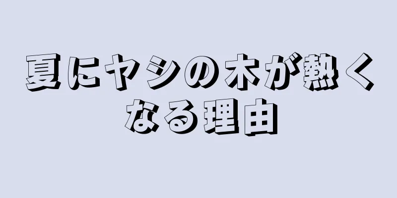 夏にヤシの木が熱くなる理由