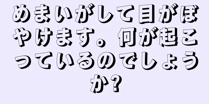 めまいがして目がぼやけます。何が起こっているのでしょうか?