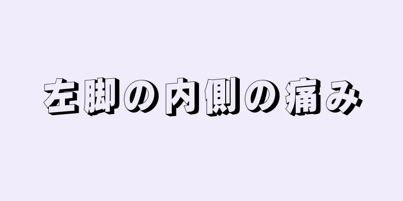 左脚の内側の痛み